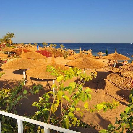 Carlton Luxury Villa Шарм-эль-Шейх Экстерьер фото